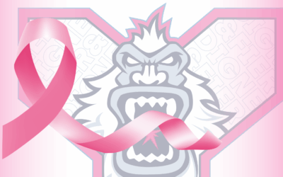 🔵🔴📢 Vente aux enchères caritative – Octobre Rose 🌸 📢🔵🔴